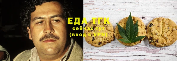 сатива Новозыбков