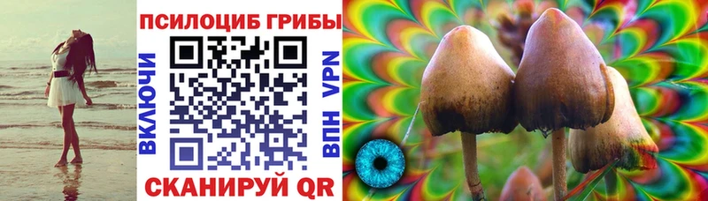 Галлюциногенные грибы прущие грибы Партизанск
